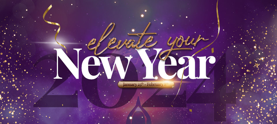 rhy_new year's 2024 promo banner 2_img
