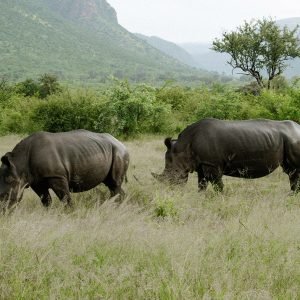 rhy_south africa luxury retreat photo - 13_img