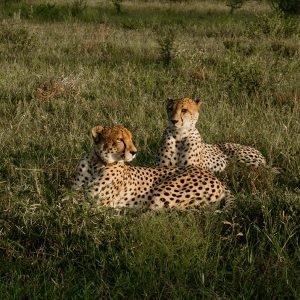 rhy_south africa luxury retreat photo - 15_img