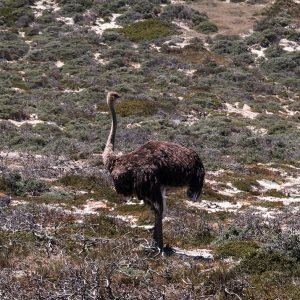 rhy_south africa luxury retreat photo - 27_img