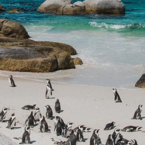 rhy_south africa luxury retreat photo - 30_img