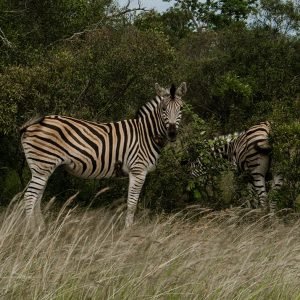 South Africa Luxury Retreat