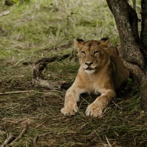 South Africa Luxury Retreat